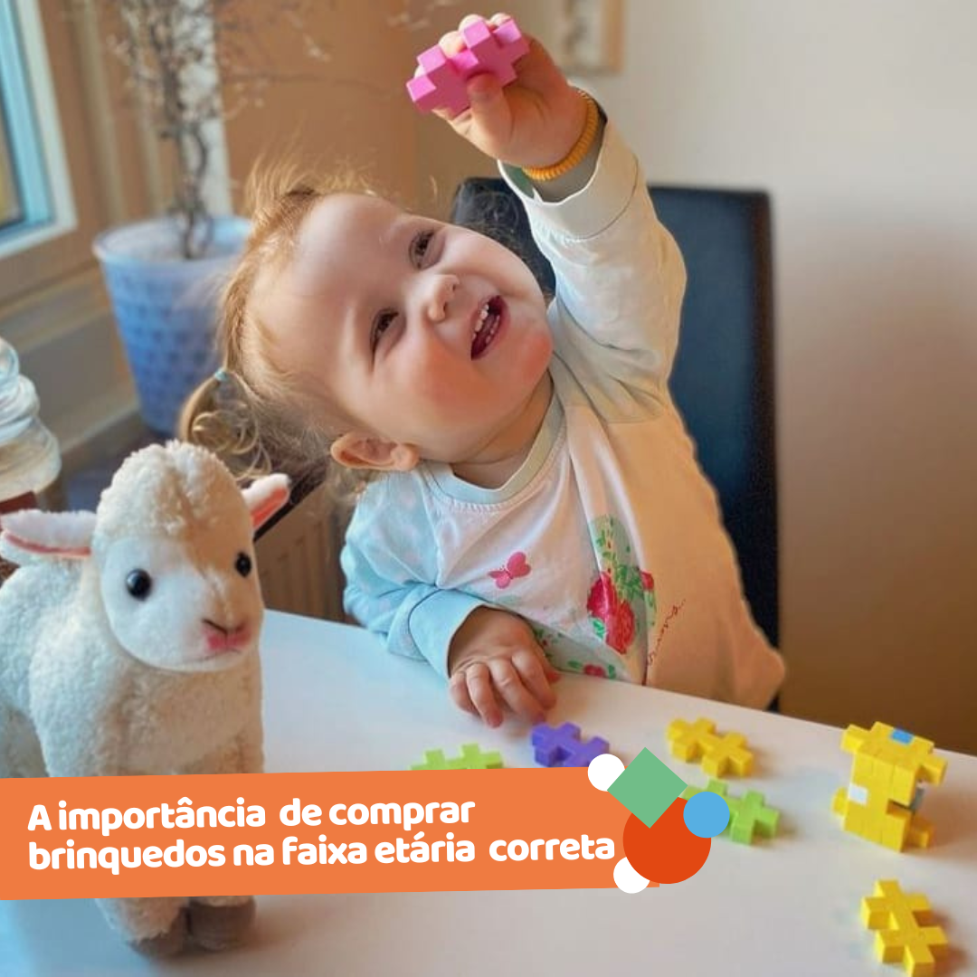 A importância  de comprar brinquedos na faixa etária  correta